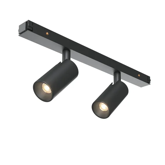 Трековый светильник Фокус / Focus Duo Basity 3000K/6000K 6Вт 36° Technical tr176-1-2x3wtw-m-b