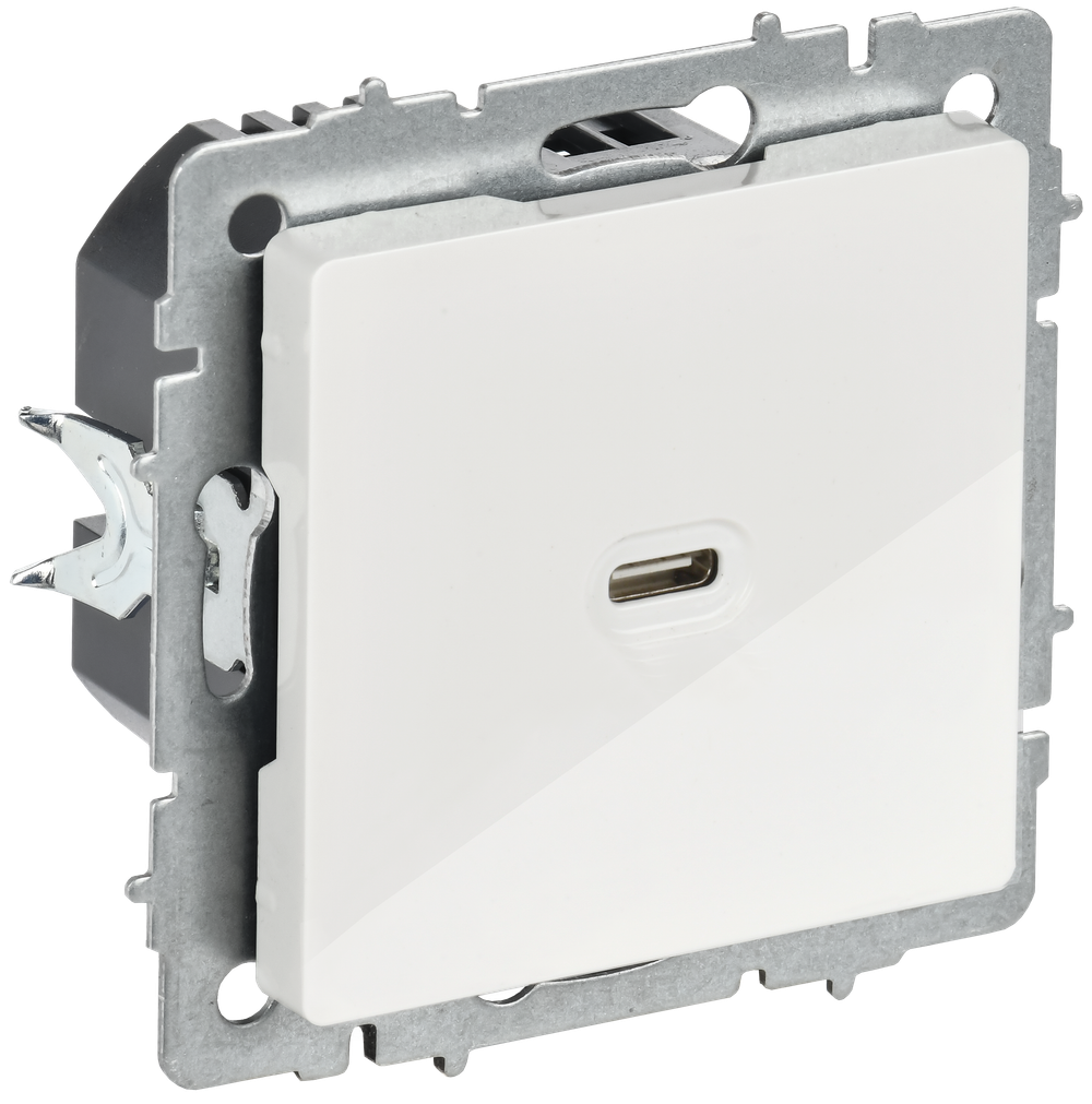 BRITE Розетка USB C 65Вт высокоскоростная зарядка РЮ12-1-БрБ белый IEK