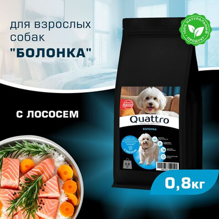 Корм сухой для взрослых собак породы Болонка, с лососем, 800 гр, QUATTRO