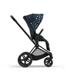 Cybex Priam IV Jewels Of Nature (Прогулочная)