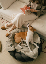 Лежанка "Пони-Колосони" Шоколад