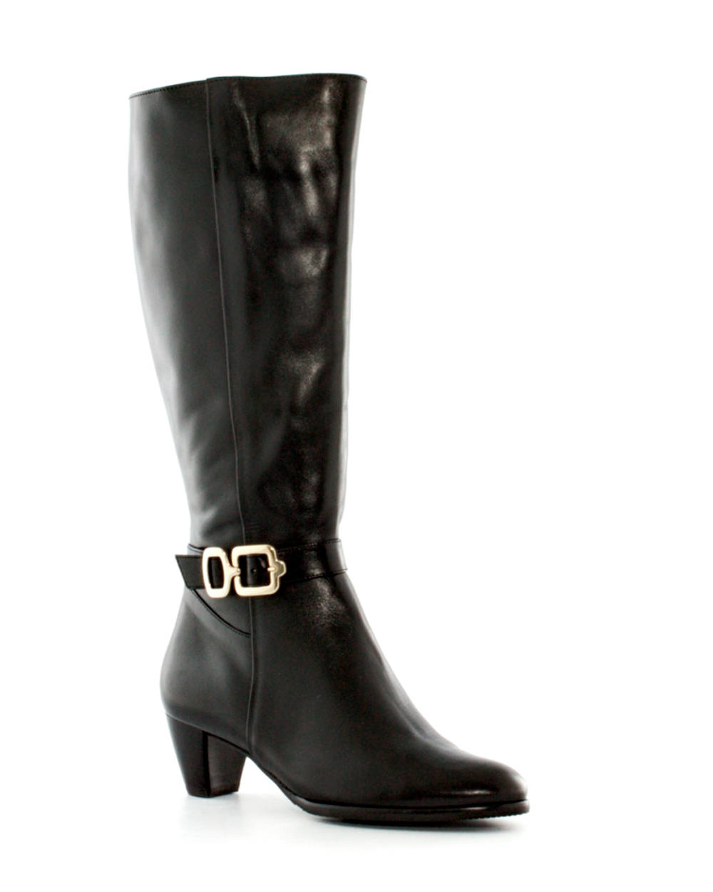 Женские Сапоги Hassia 6-306971 black