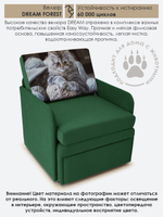 Кресло-кровать "Миник" с подлокотниками Dream Forest купон Котенок в клубках