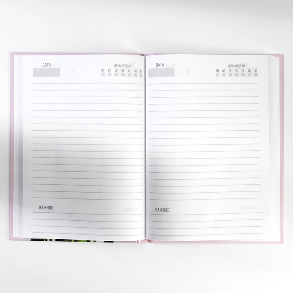 Подарочный набор, ежедневник А5, 80 листов и планер, 50 л. «Самой нежной»