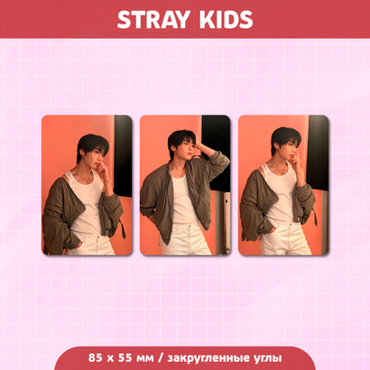 Сет карточек / STRAY KIDS #263 I.N