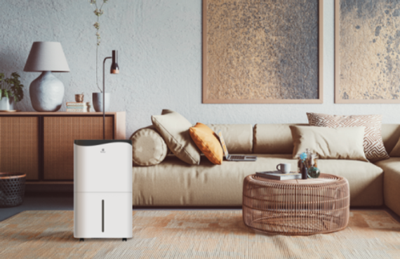 Осушитель воздуха ROYAL CLIMA PACIFIC Villa RD-PC40-E — (5)