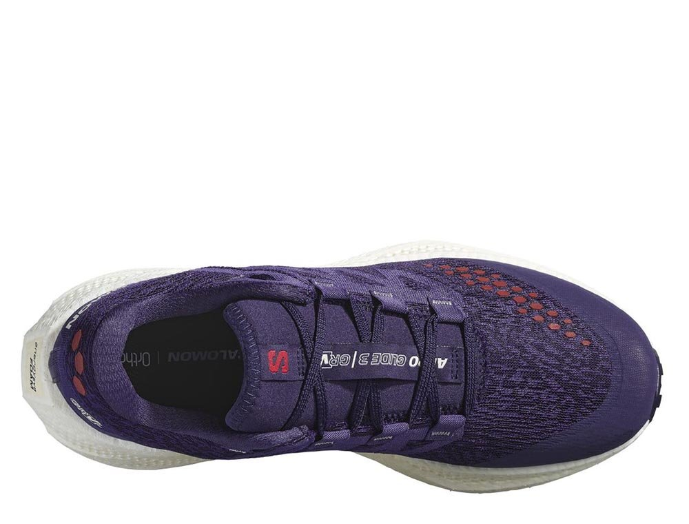 Кроссовки для бега мужские Salomon Aero Glide 3 GRVL M Фиолетовые