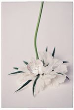 Кольцо Extra Big Flower