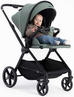 Детская коляска Rant Moss 3 в 1 с автокреслом Rant Cruise Black Green