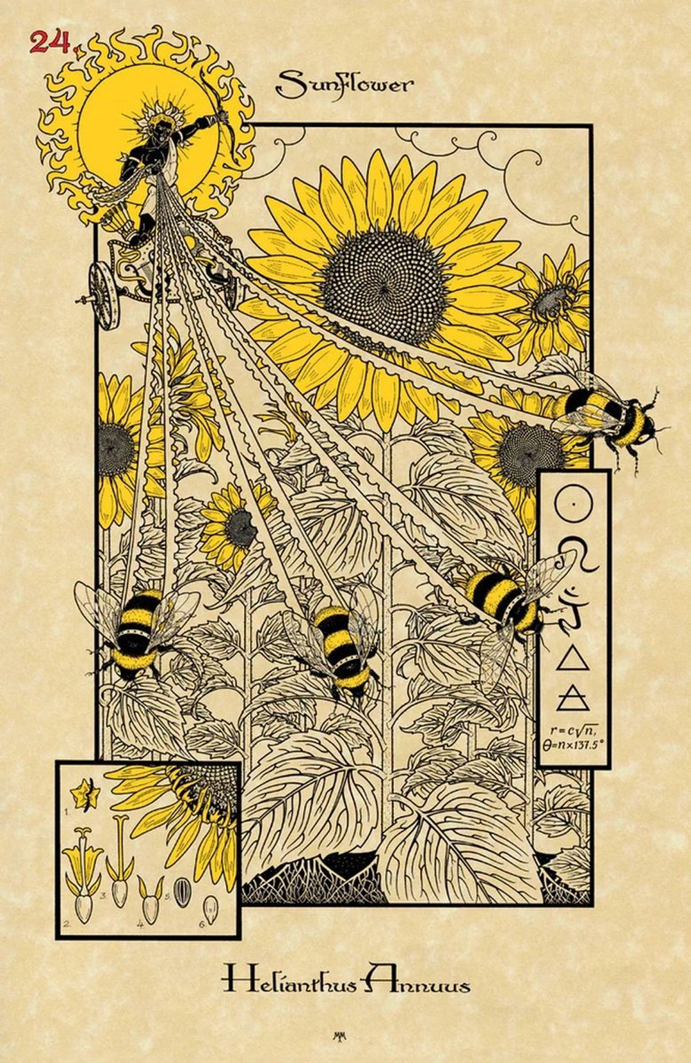 Оракул Волшебный Ботанический