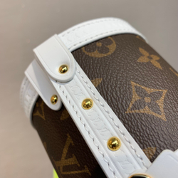 Louis Vuitton Papillon Trunk