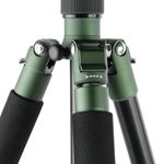 Falcon Eyes Green Line 1575 BHS-12