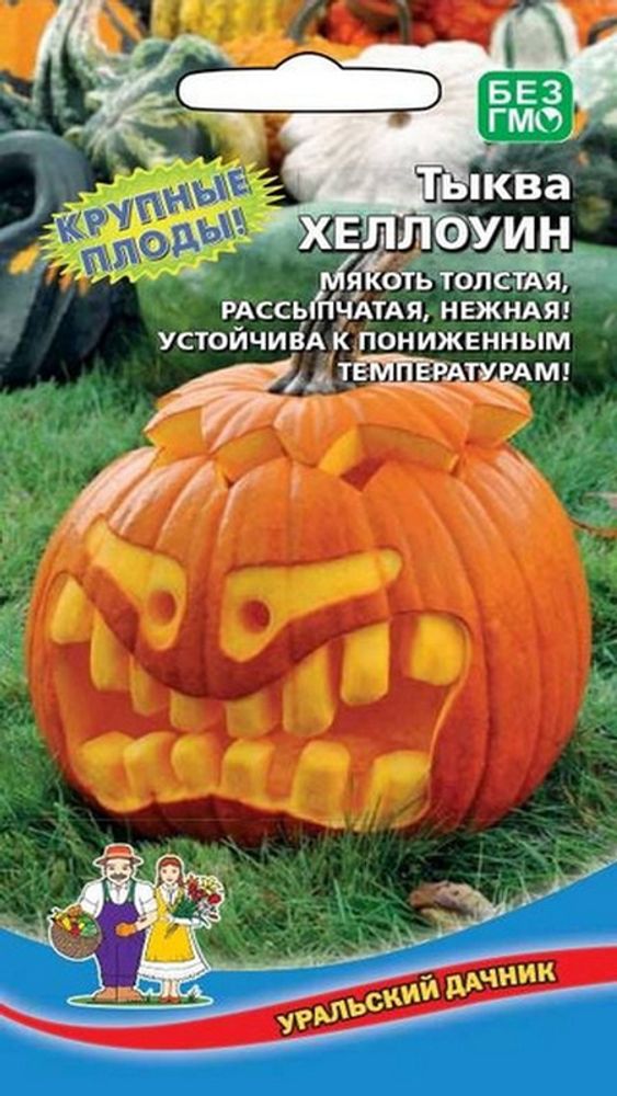Тыква &quot;Хеллоуин&quot; 5шт, Россия.