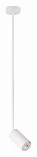 Светильник на штанге ST-Luce SL1206.503.01