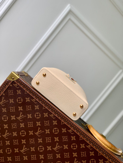 Louis Vuitton Capucines Mini