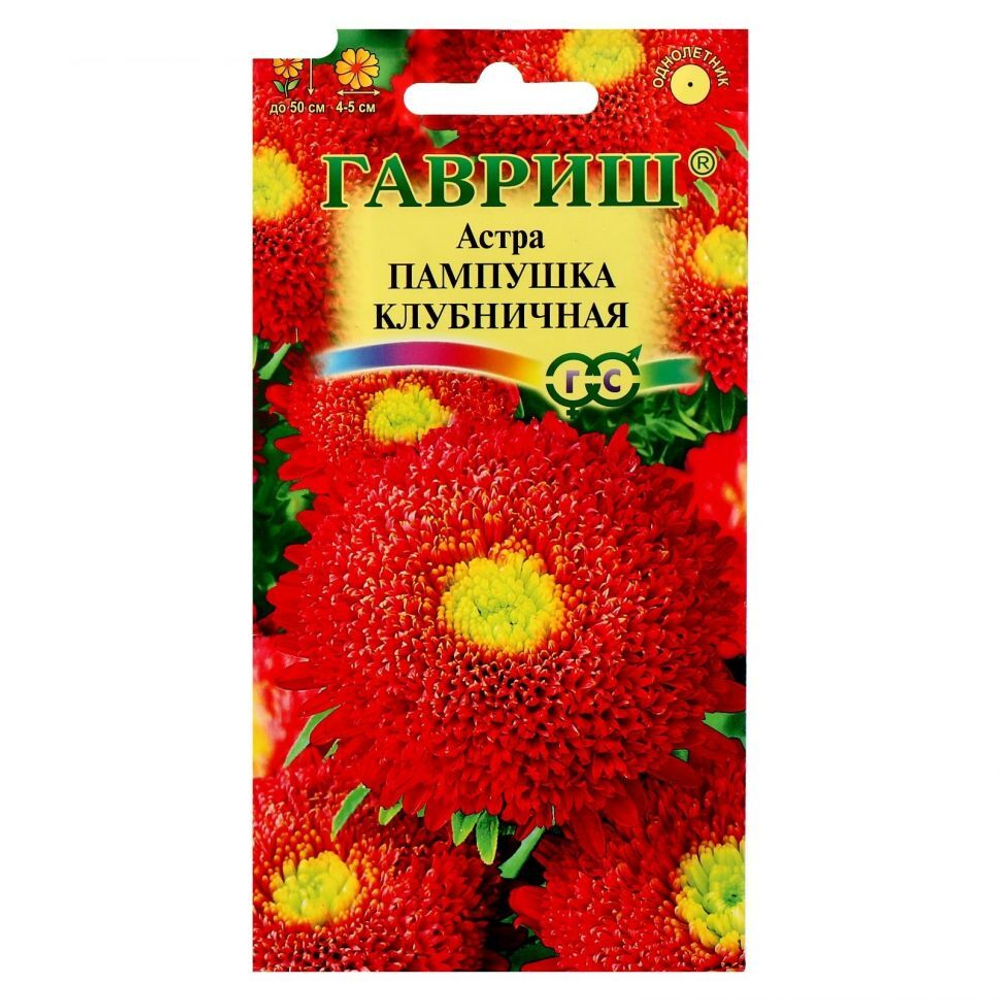 Астра Пампушка клубничная 0,3г Ц Гавриш
