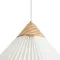 Подвесной светильник Кинсли / Kinsley Freya fr5533pl-01bs1