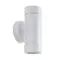 Фасадный светильник Arte Lamp ATLAS A3503AL-2WH