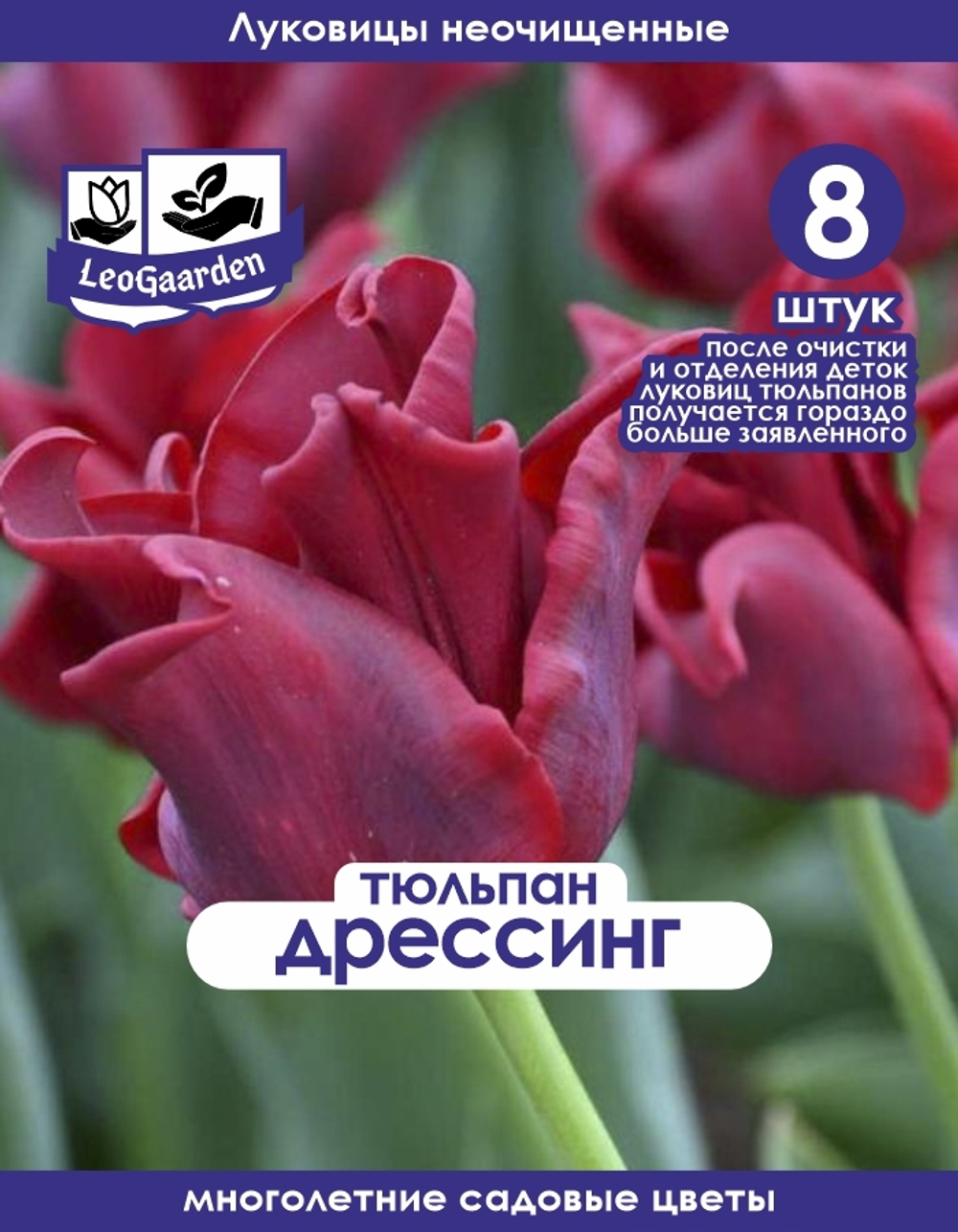 Тюльпан Луковица, Дрессинг, 8+шт