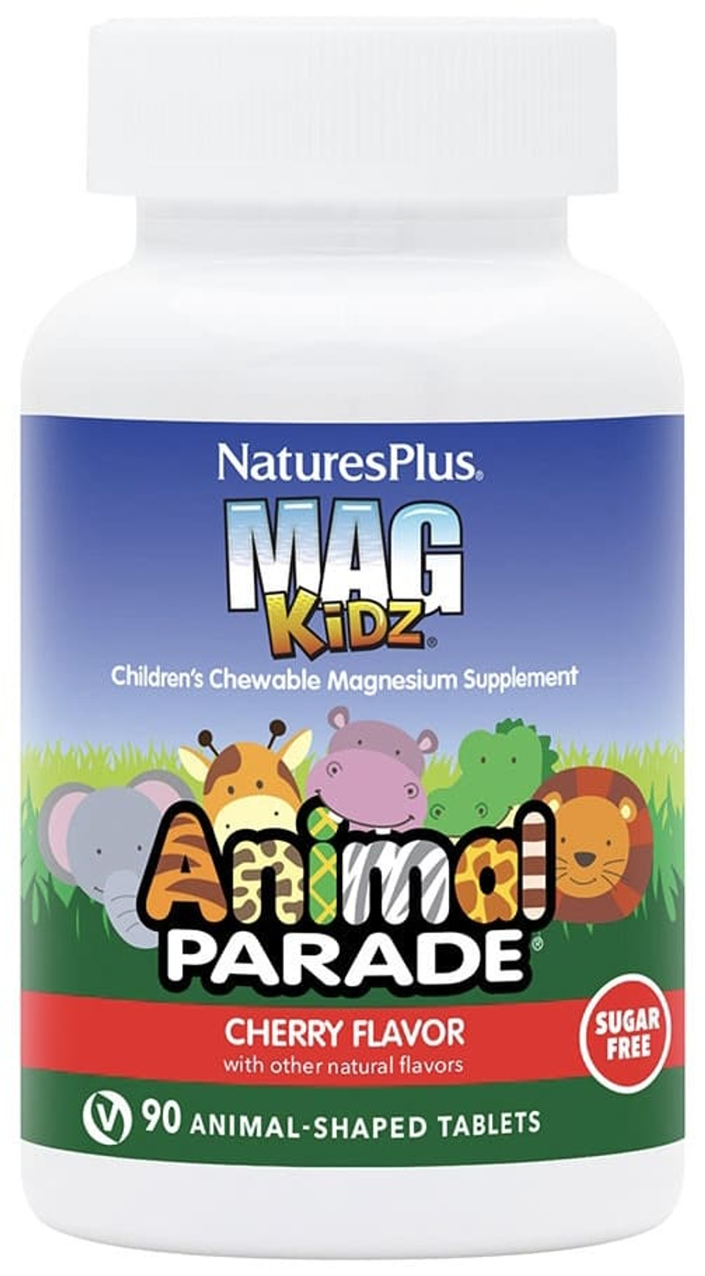 Mag Kidz