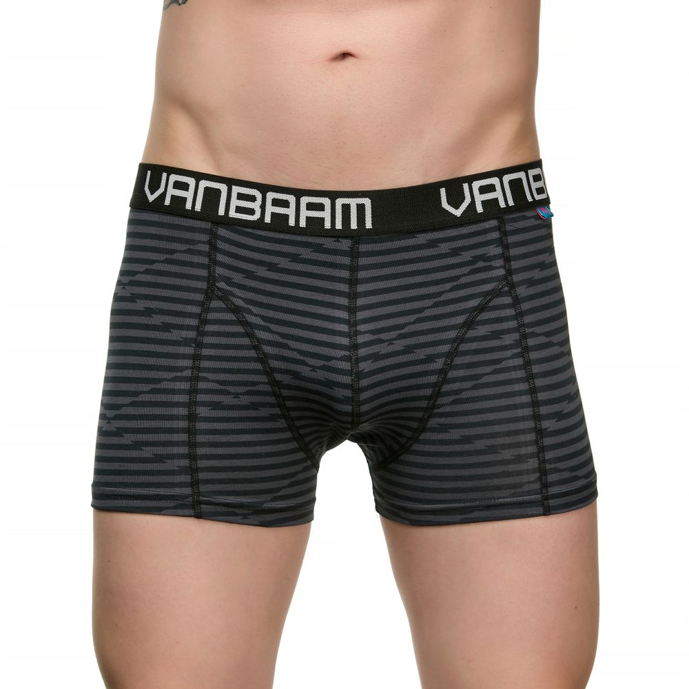 Мужские трусы боксеры темно-серые в полоску Van Baam