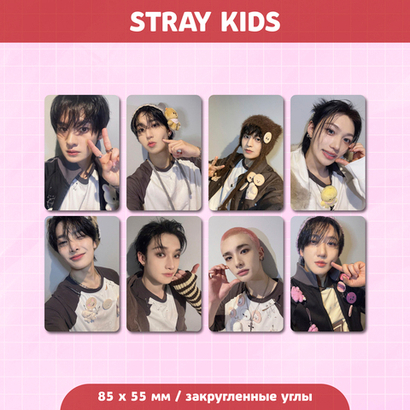 Сет карточек / STRAY KIDS #194