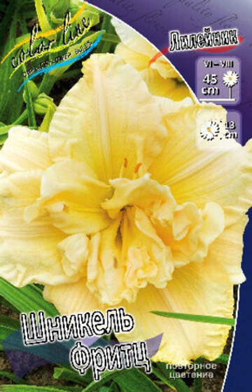 Лилейник Шникель Фритц