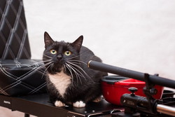 Механизм регулировки держателя удочки FINAL BOSS