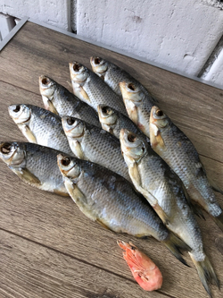 Вобла вяленая мелкая