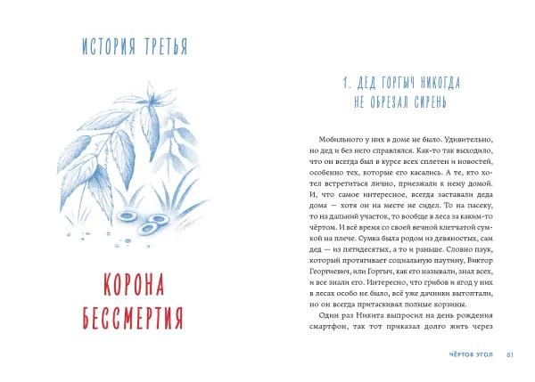 Чёртов угол