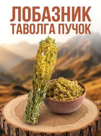 Таволга (пучок)