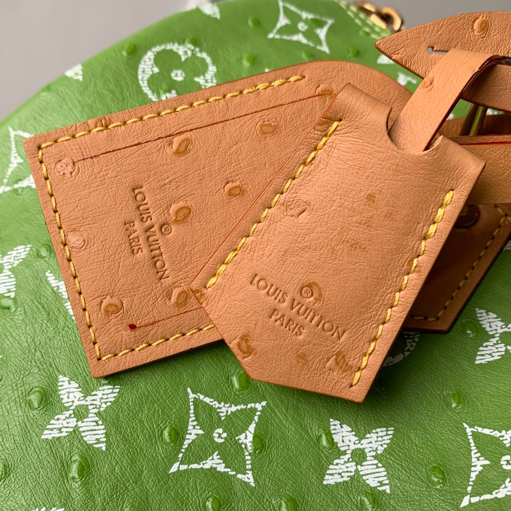 Louis Vuitton Speedy P9 Bandouliere 30