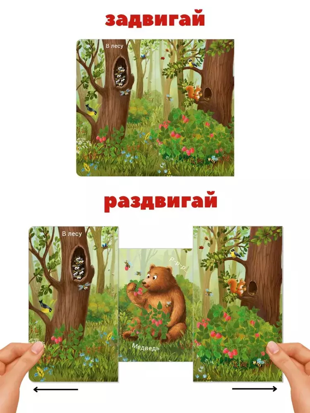 Книжки - задвижки. Кто где живёт?