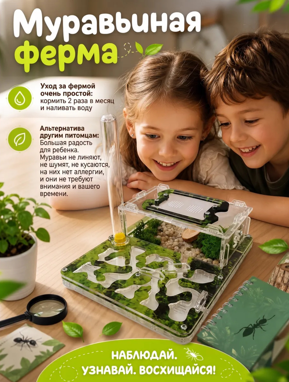 Ферма «Мох» + Колония муравьев «Макси» + Микс корма