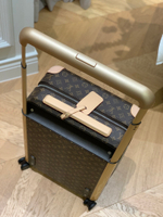 Louis Vuitton Horizon 55 Suitcase