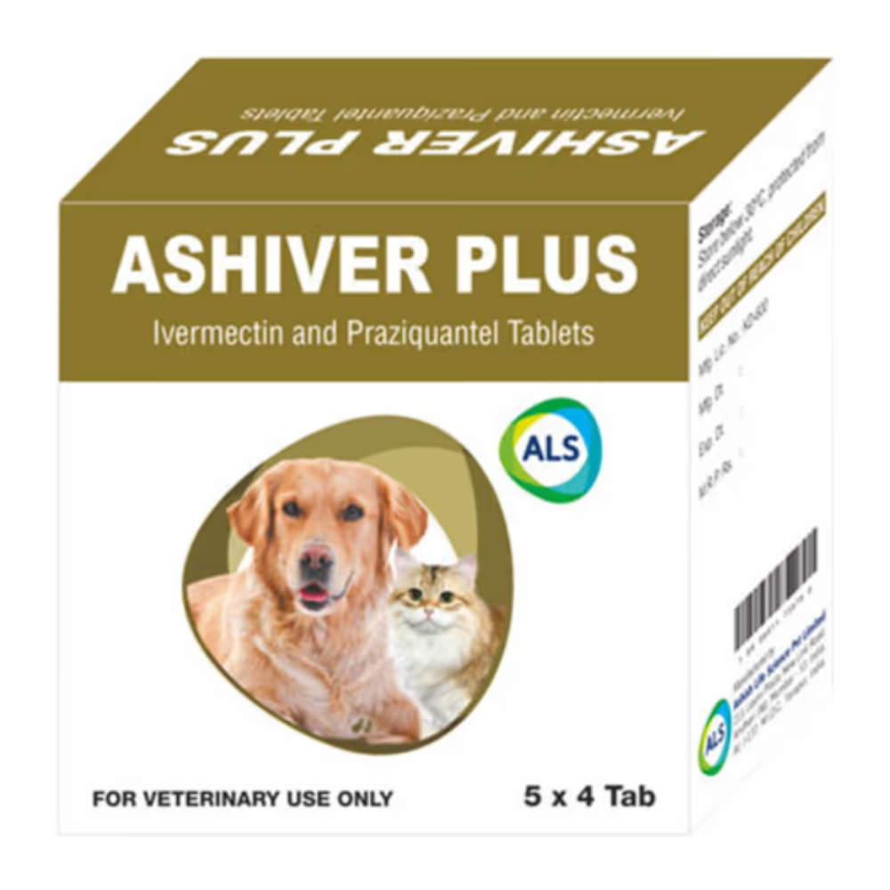 Ashiver Plus