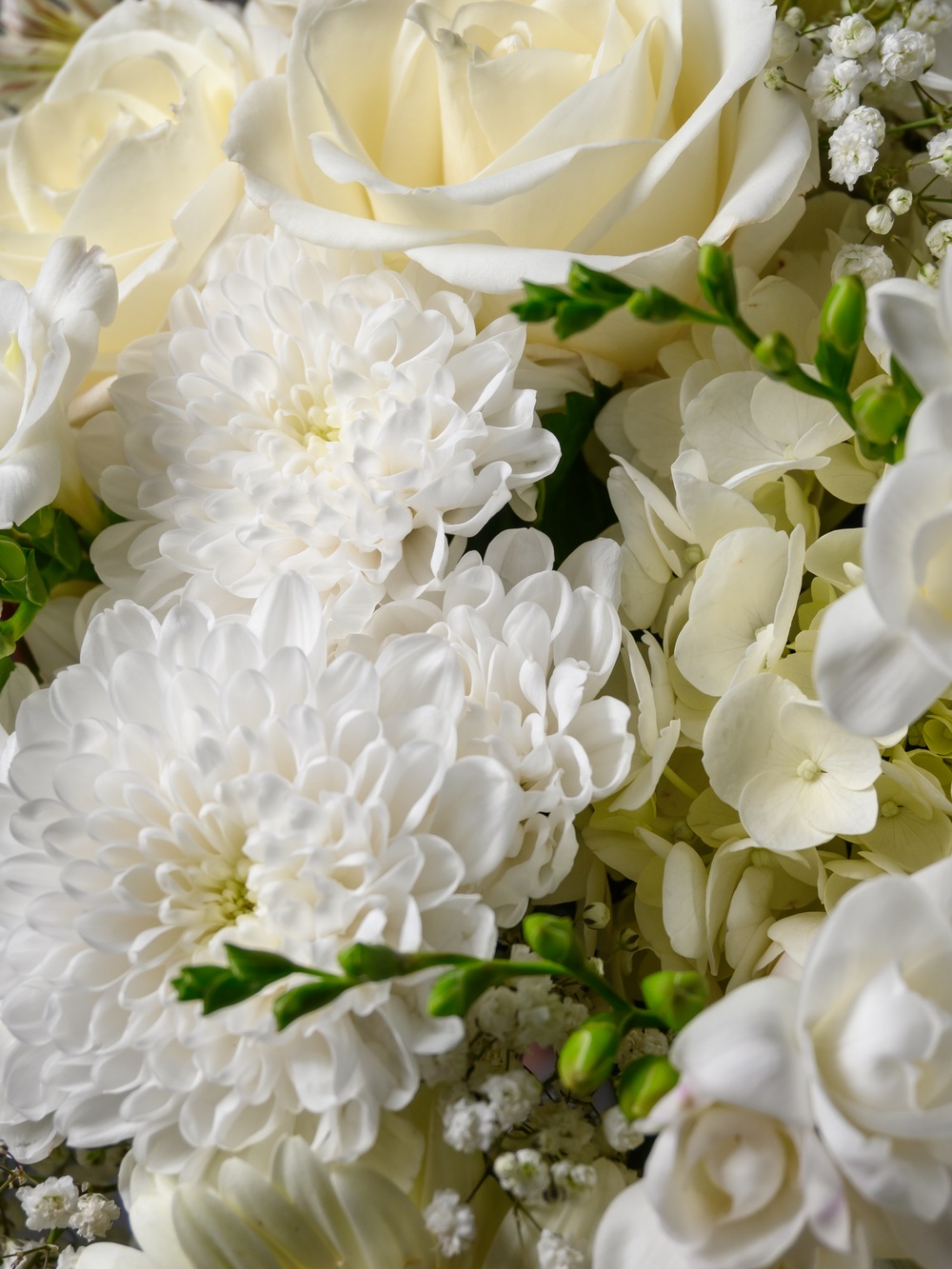 Символ чистоты *