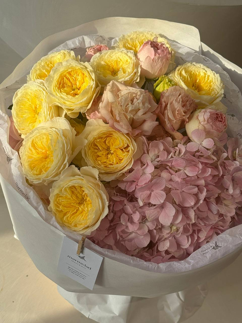 собран сегодня #10