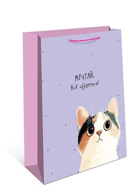 Пакет подар. бумажн. 18*23*10 см, 130гр/м2 Мечтай