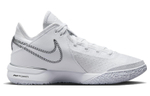 Кроссовки Nike Lebron Nxxt Gen Zoom