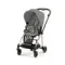 Детская коляска Cybex Mios 2 в 1 Mirage Grey Rosegold