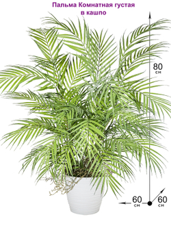 Пальма декоративная густая комнатная 80см в кашпо