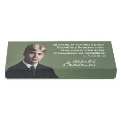 GAEM Набор подарочный: ручка перьевая, 5 наконечников, чернильница, L28 W11,5 H4 см