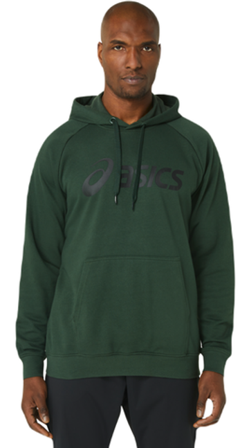 Мужская теннисная кофта Asics Big Asics Oth Hoodie - зеленый