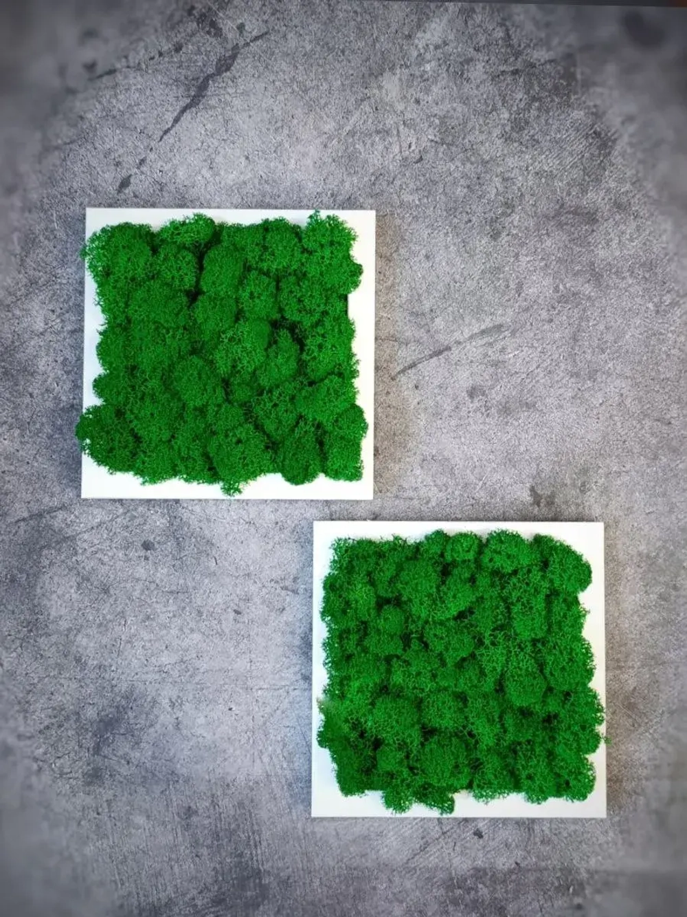 Квадратное панно на стену 20*20 из мха набор 2 шт.