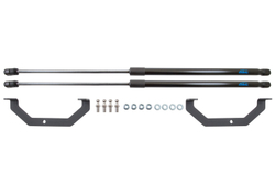 Упоры капота для PEUGEOT 3008, 5008, 2016-, 2020-, к-т 2 шт ARBORI.HD.032102