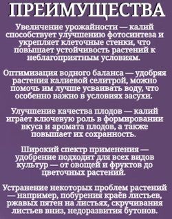 Удобрение Селитра калиевая с микроэлементами, 1 кг