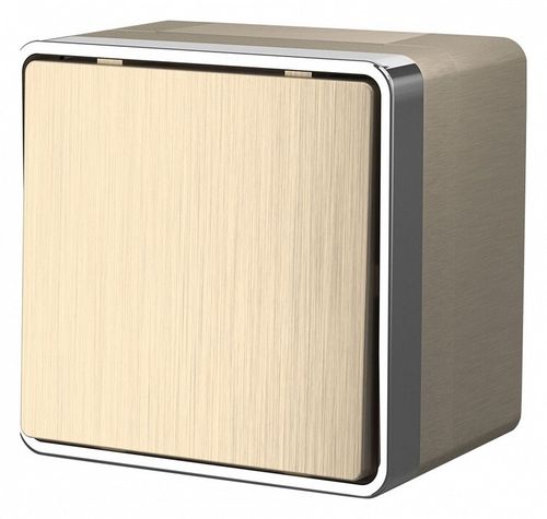 Выключатель одноклавишный Werkel W5010210