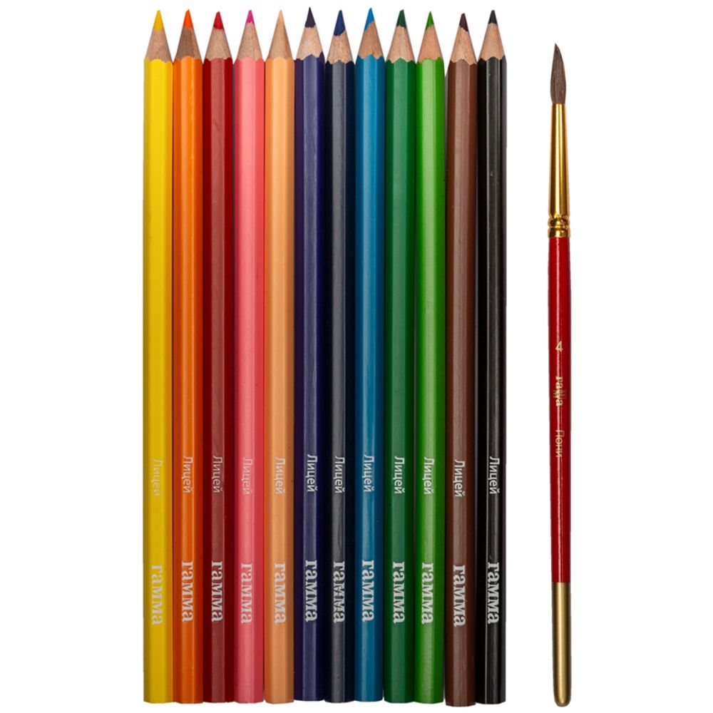 Карандаши акварельные 12 цв. Гамма Лицей + кисть