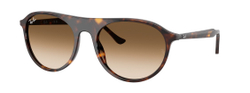 Солнцезащитные очки Ray-Ban RB 2215 902/51 Havana Gradient